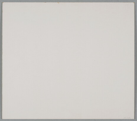 A black-and-white close-up photograph of the raised scars on the flesh of a cactus.