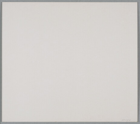 A black-and-white photograph of a turtle skeleton from the underside.