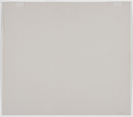 A black-and-white close-up photograph of twisted white tree roots growing out of dark soil.