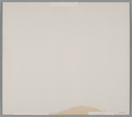 A black-and-white photograph of silhouetted plant stems, narrow cacti, and hills against the sky.