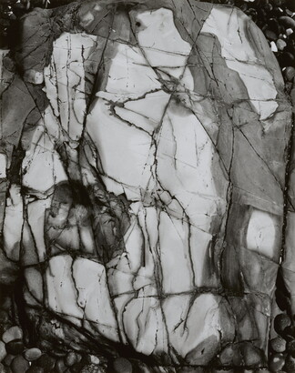 A black-and-white close-up photograph of a white rock with dark lines and cracks running through it.