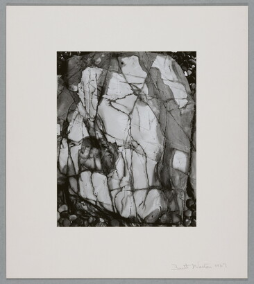 A black-and-white close-up photograph of a white rock with dark lines and cracks running through it.