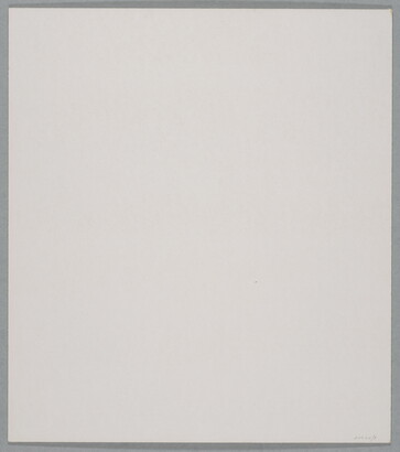 A black-and-white close-up photograph of a white rock with dark lines and cracks running through it.