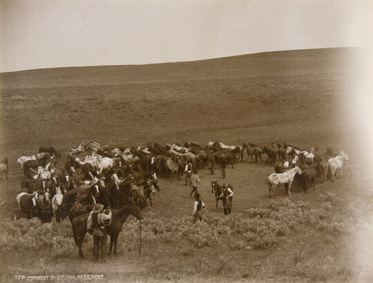 A sepia-toned photograph of a herd of unsaddled horses and several cowboys with their saddled horses.