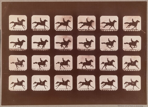 A series of black-and-white photographs of a person riding a horse arranged in four rows of six images.