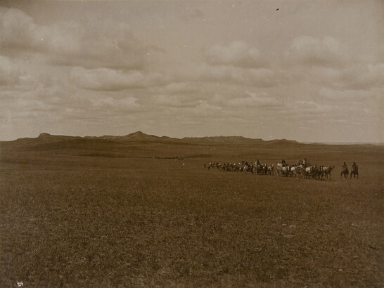 A black-and-white photograph of a herd of cattle and several cowboys on a prairie with mountains in the far distance. 