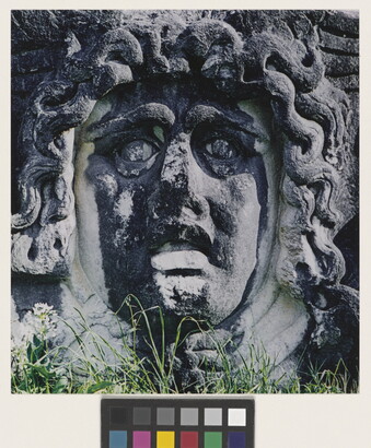 A color photograph of an ancient stone carving of a woman's face with snakes for hair.