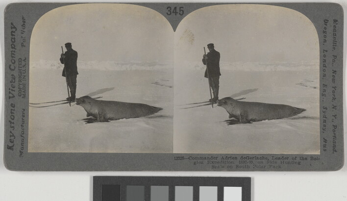Two almost identical black-and-white photographs side by side of a man standing next to a seal in a snowy landscape.