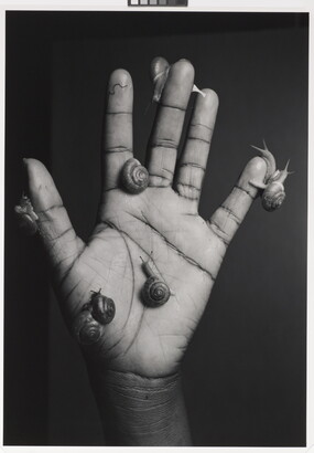 A black-and-white photograph of a open-palmed hand covered with snails crawling on the fingers and palm.