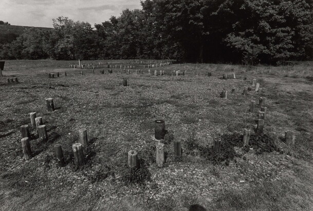 A black-and-white photograph of a grassy field with many wooden posts sticking up from the ground.