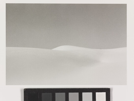 A black-and-white landscape photograph of a white sand dune against a gray sky.