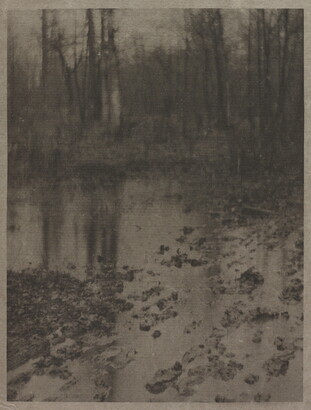 A soft-focused, black-and-white photograph of a muddy pool of water with tall, leafless trees in the background.