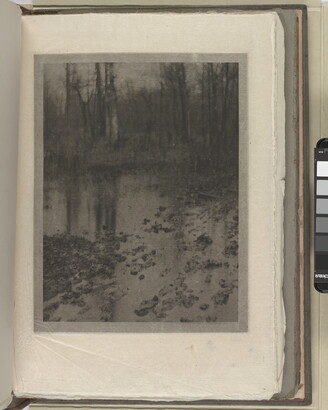 A soft-focused, black-and-white photograph of a muddy pool of water with tall, leafless trees in the background.