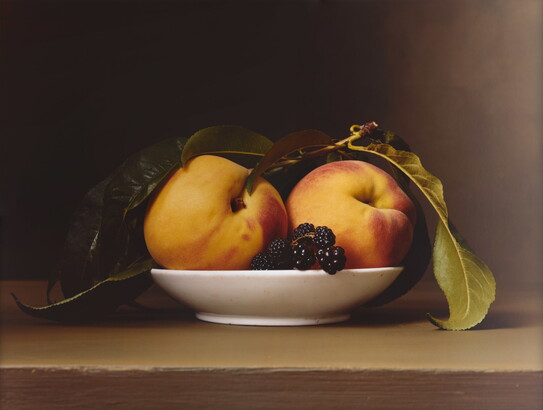 A color, still life photograph of two peaches, a sprig of blackberries, and several large, green leaves in a shallow, white bowl.