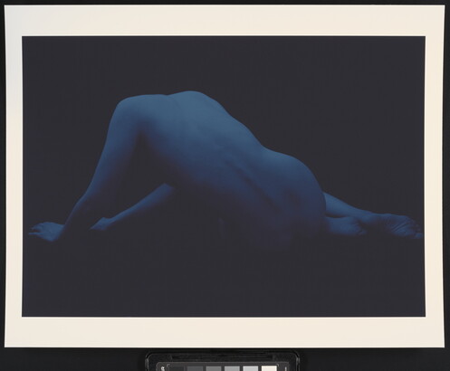 A monochromatic blue photograph of a nude figure, seen from behind, that is half reclined and propped up on their hands.