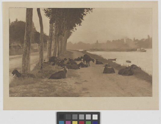 A sepia-toned photograph of a group of goats lying on a dirt path near a river.