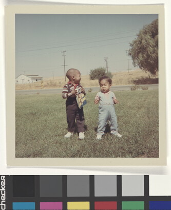 A color photograph of two Black toddlers standing in a grassy yard.