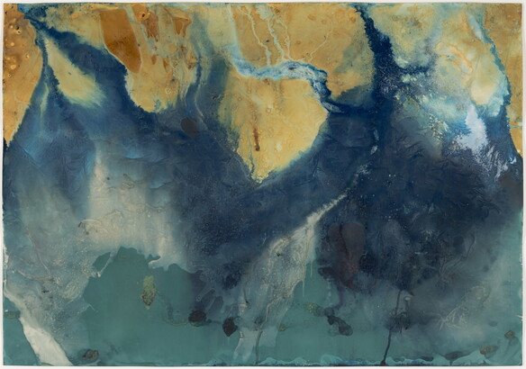 An abstract color photograph of leaves and plants trapped in the ice of a stream.