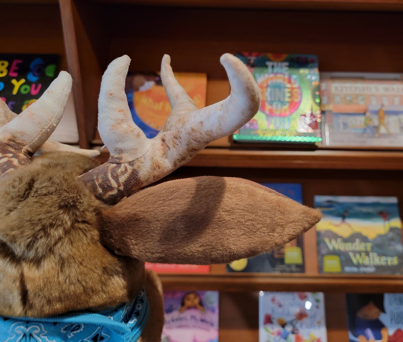 Prickles the jackalope puppet admires the selection of children&#039;s books in the Museum Shop.