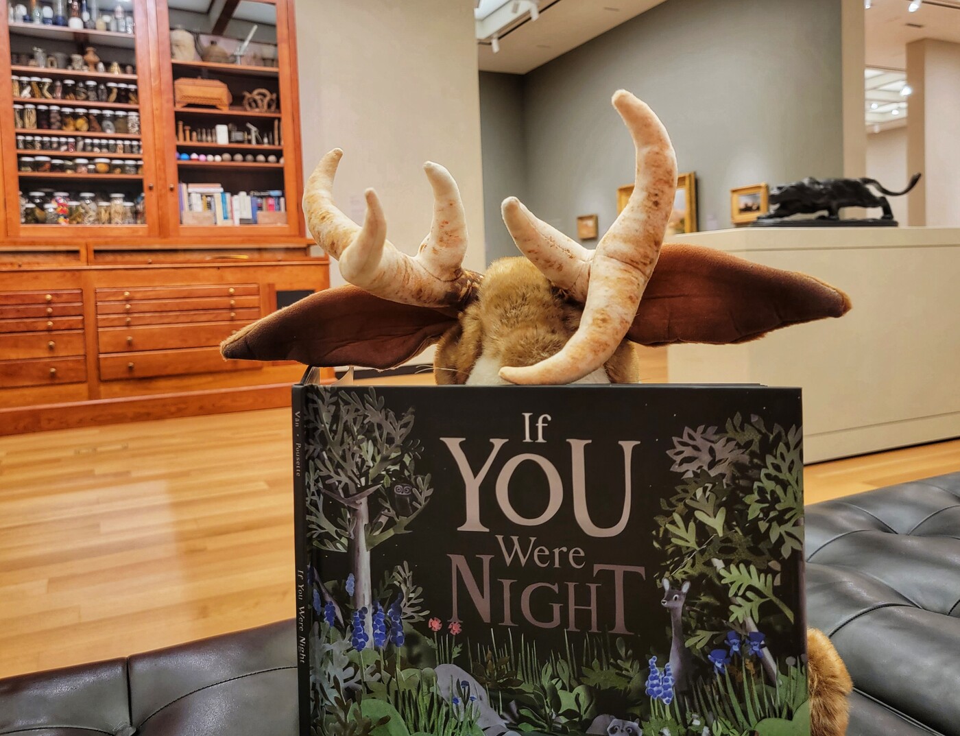 Prickles the jackalope puppet reads a book in a Carter gallery.