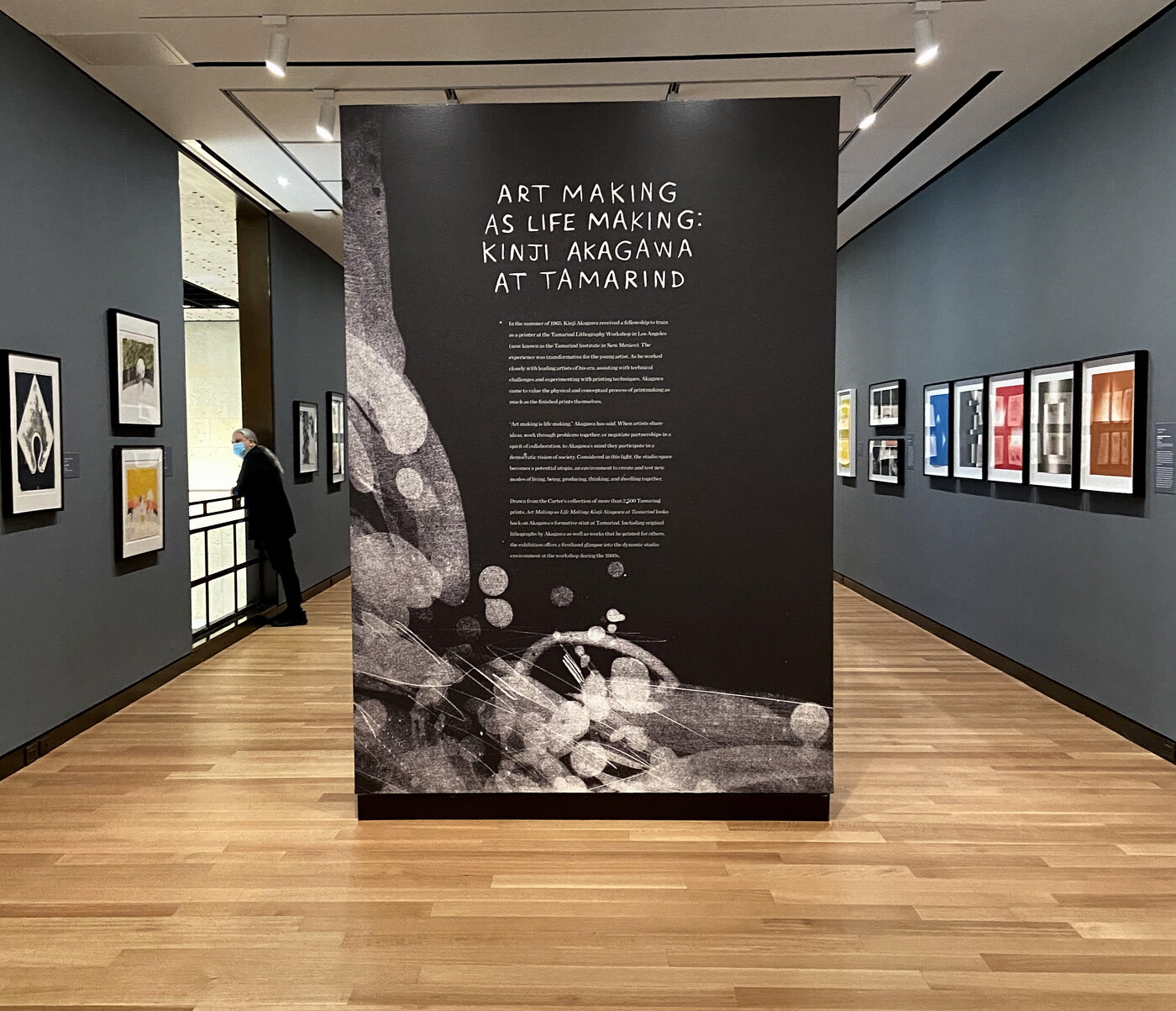 View of the final title wall at the entry of the exhibition at the Carter.