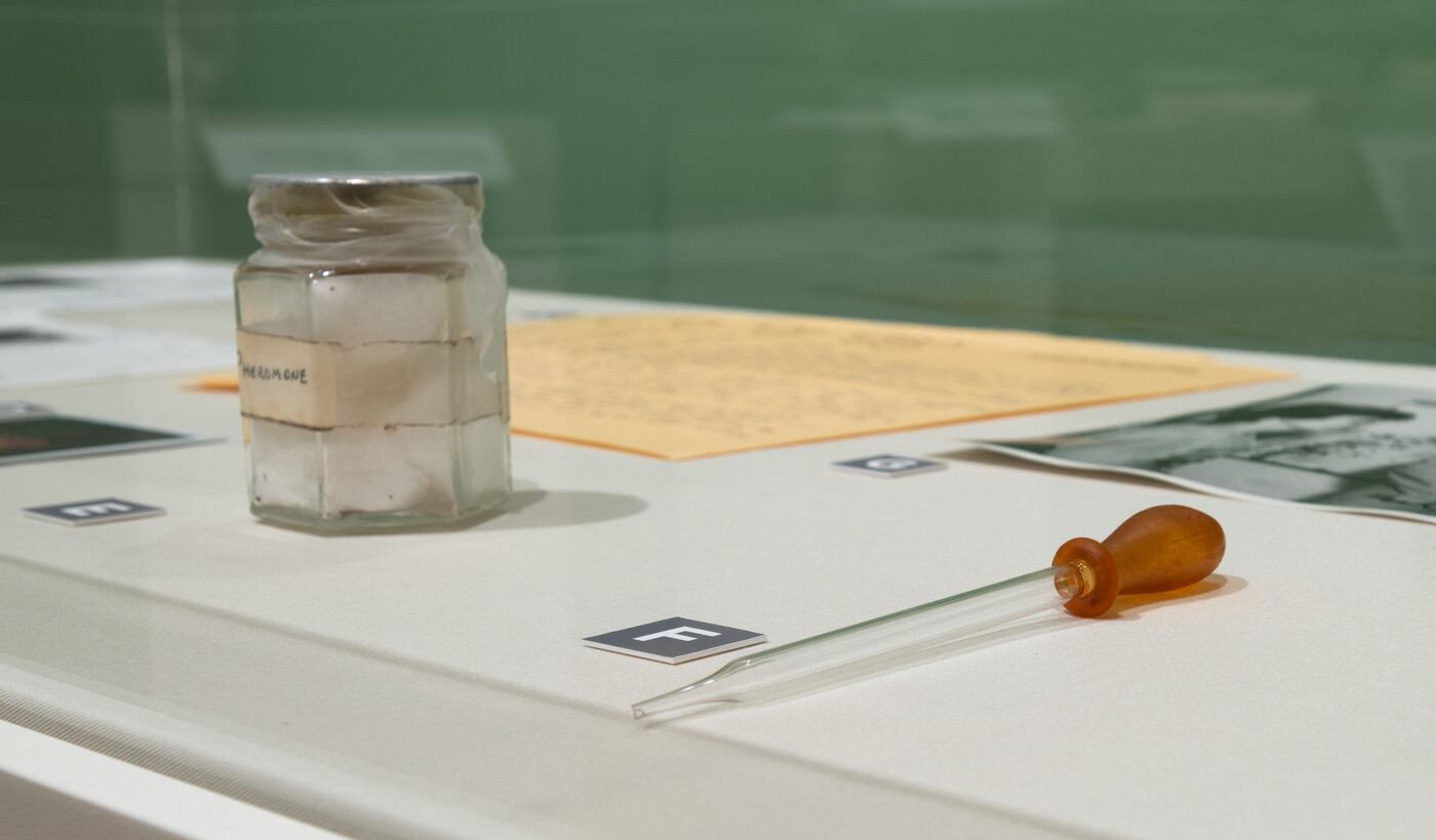 A sealed glass jar sits next to a glass pipette in a display case.