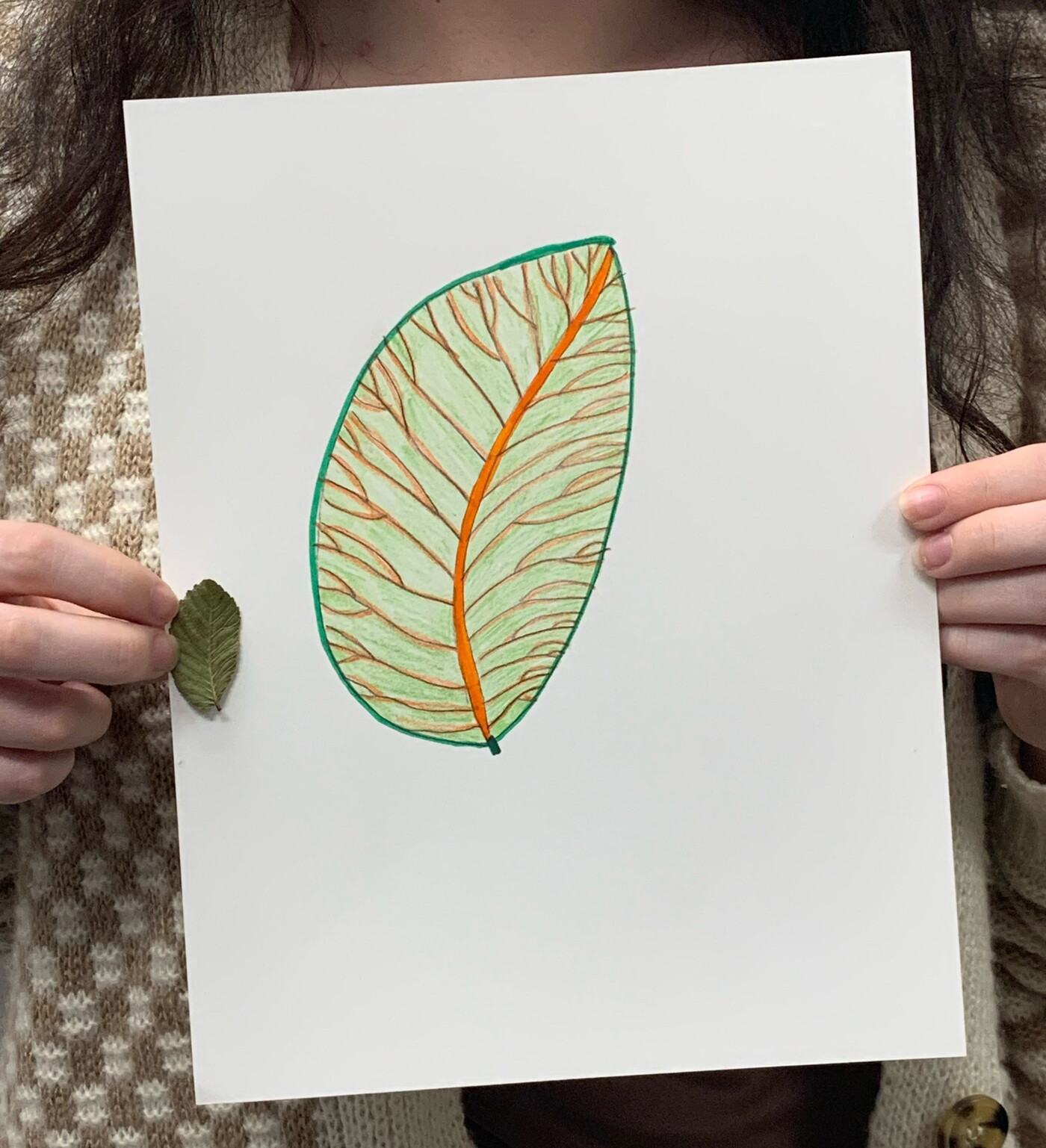 A person holds a completed drawing of a leaf.