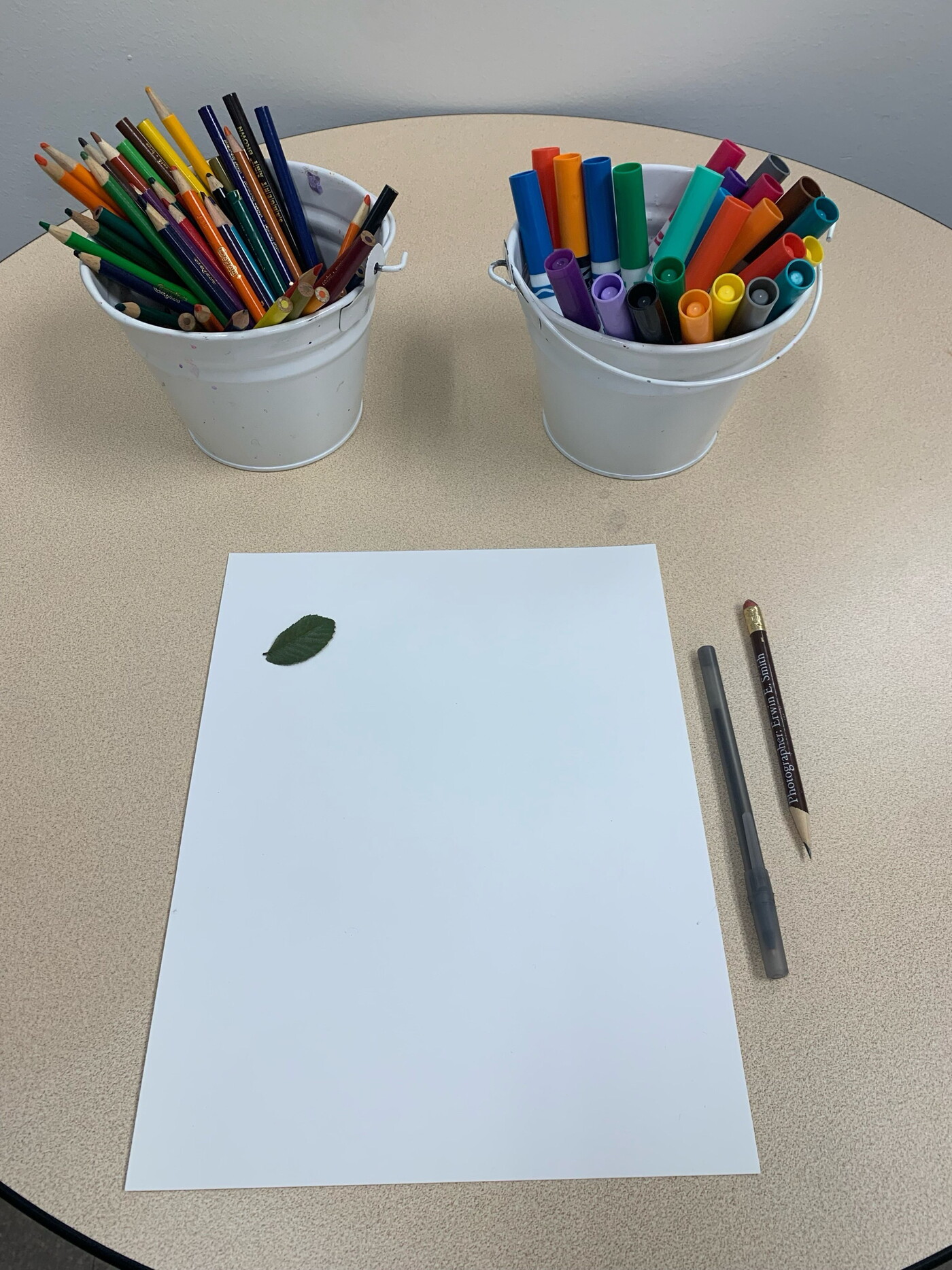 A small leaf on a piece of white paper next to cups of colored pencils and markers.