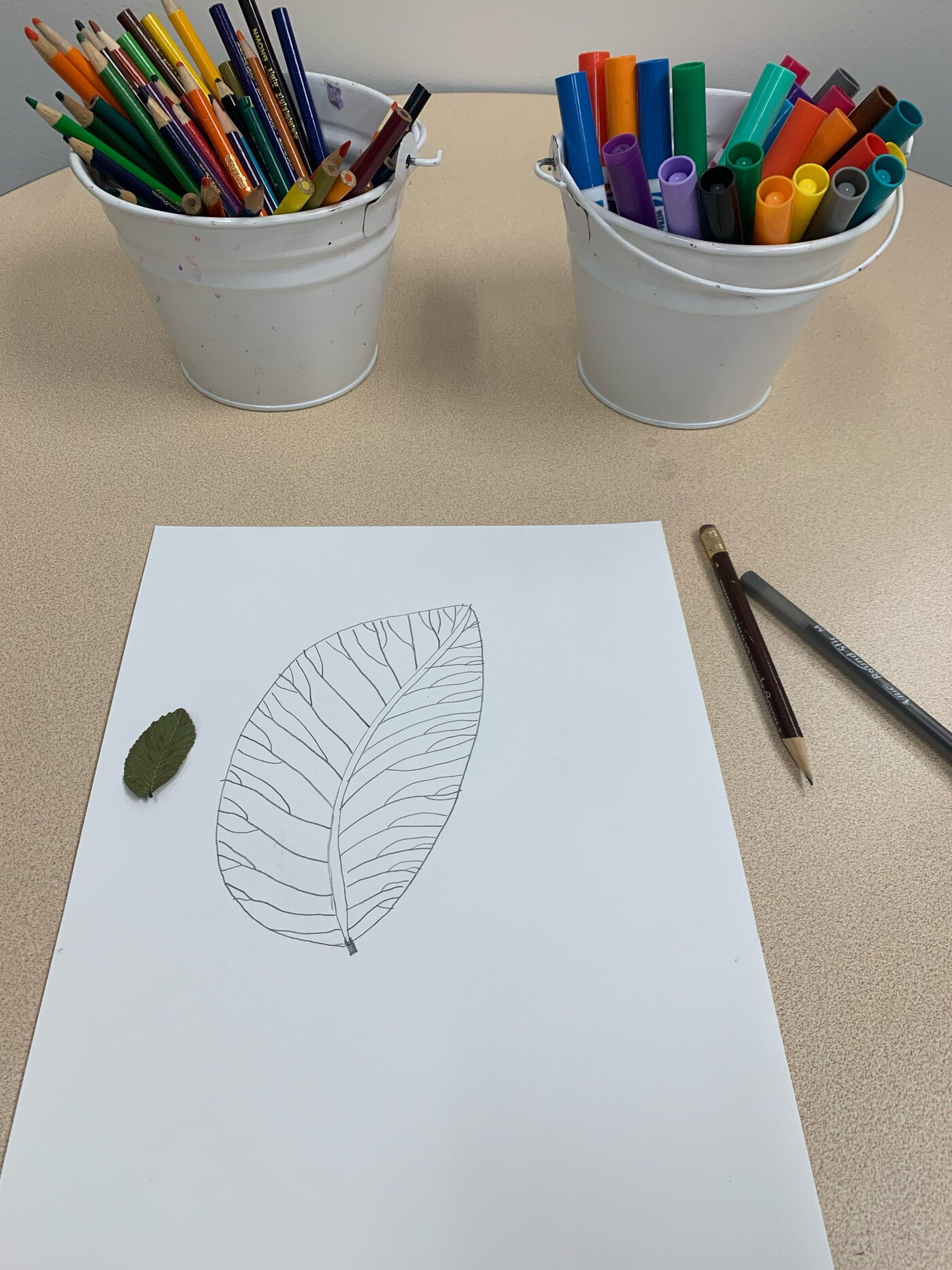 A small leaf next to a large drawing of that leaf on a piece of white paper next to cups of colored pencils and markers.