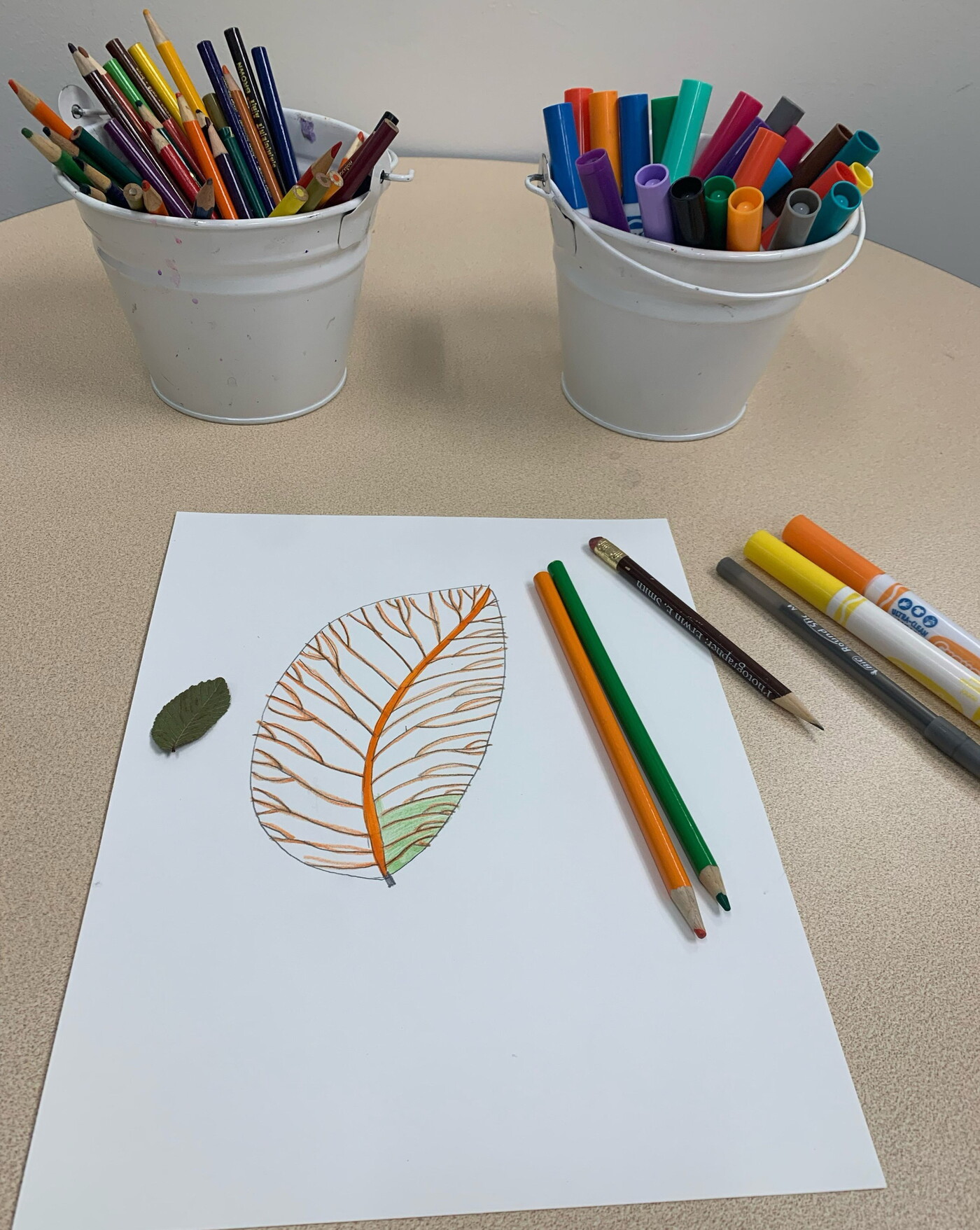 A partially colored drawing of a leaf on a piece of white paper next to cups of colored pencils and markers.