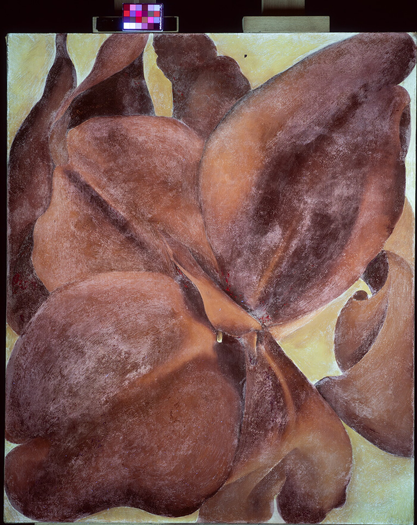 In infrared image of an oil painting showing restoration work.