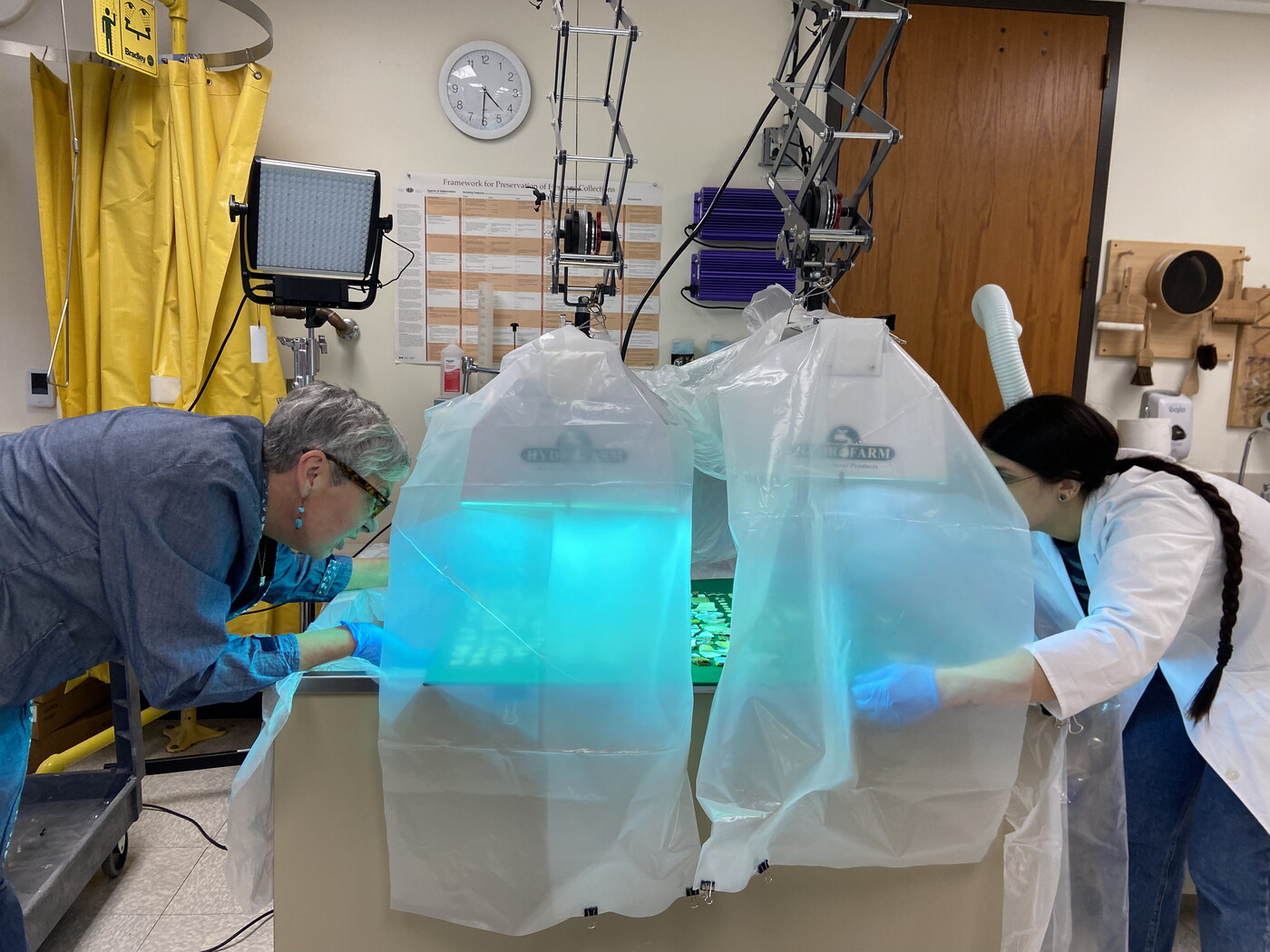 Two women lean over a table looking under plastic sheets draped over UV lights that are hung over a table