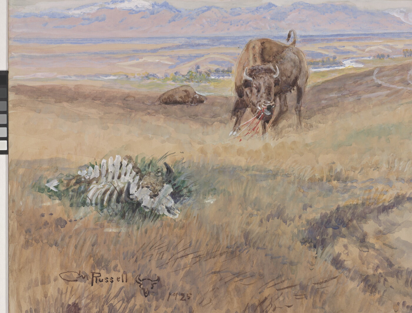 A detail of a watercolor of a mounted Native American confronting a steer.