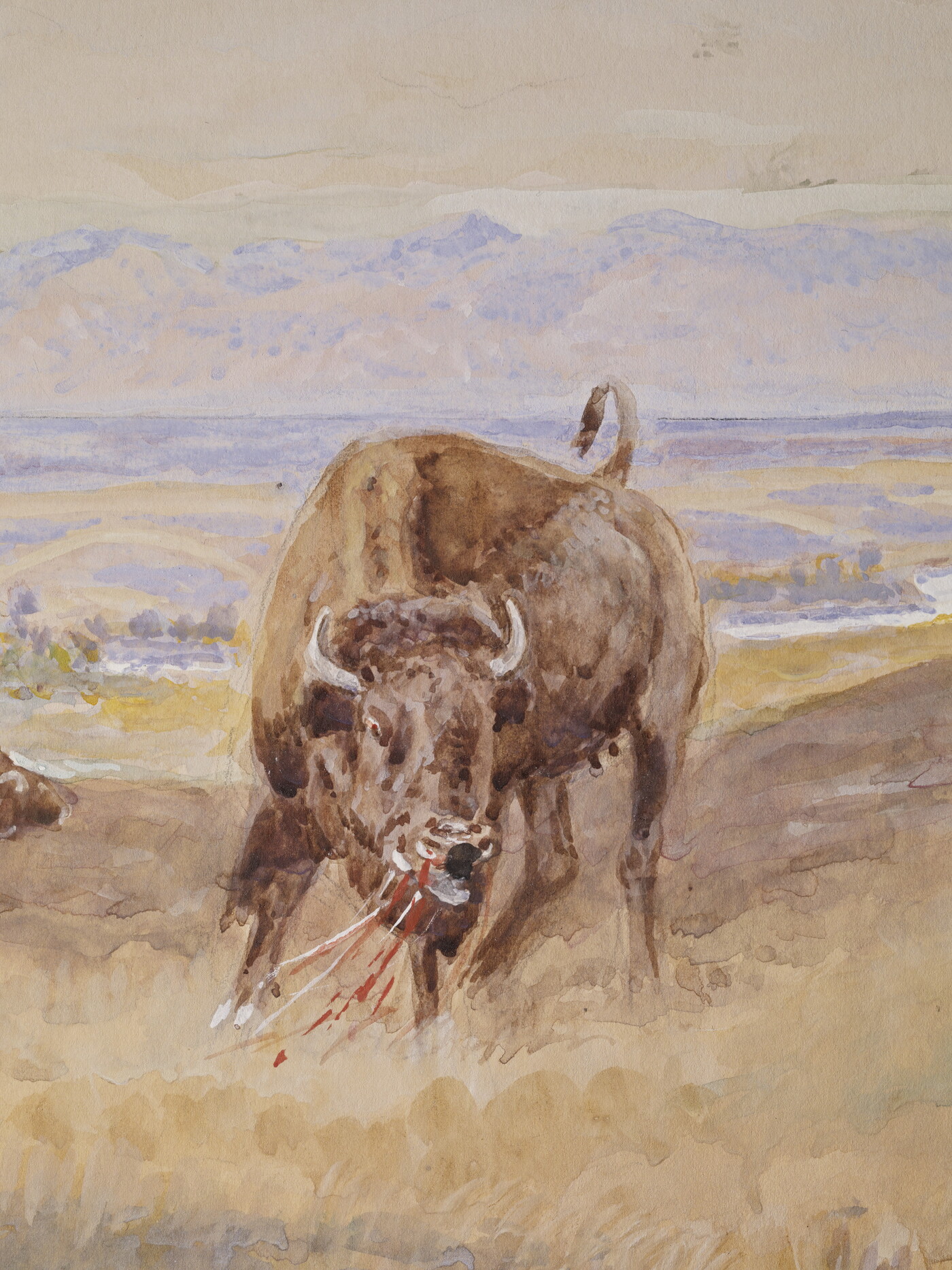 A detail of a watercolor of a mounted Native American confronting a steer.