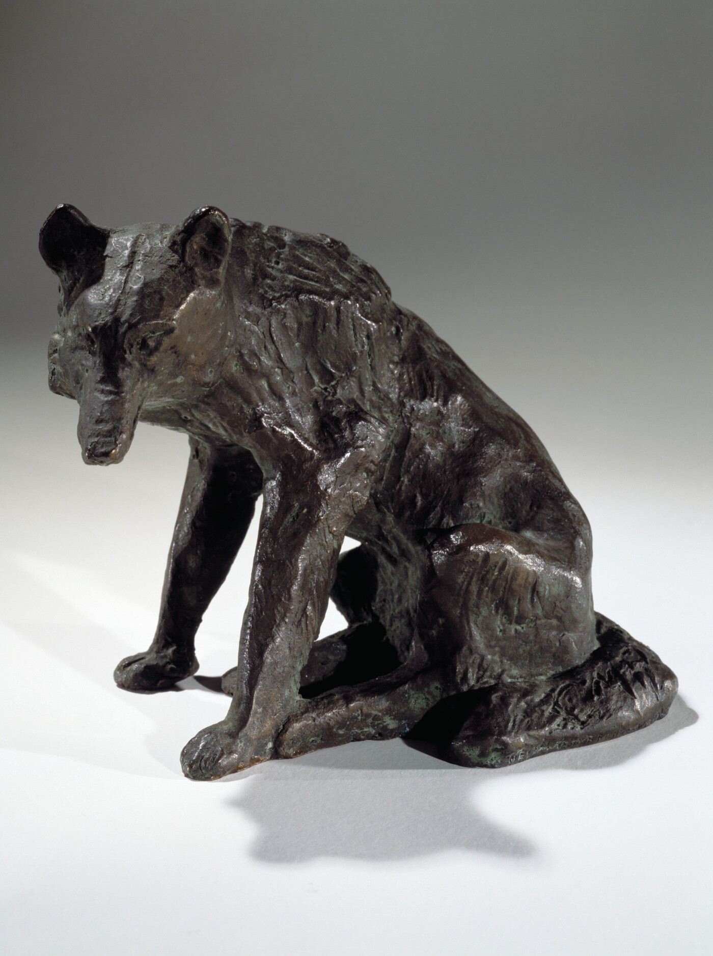 A bronze sculpture of a sitting coyote.