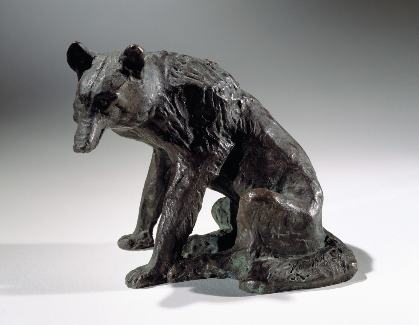 A bronze sculpture of a sitting coyote.