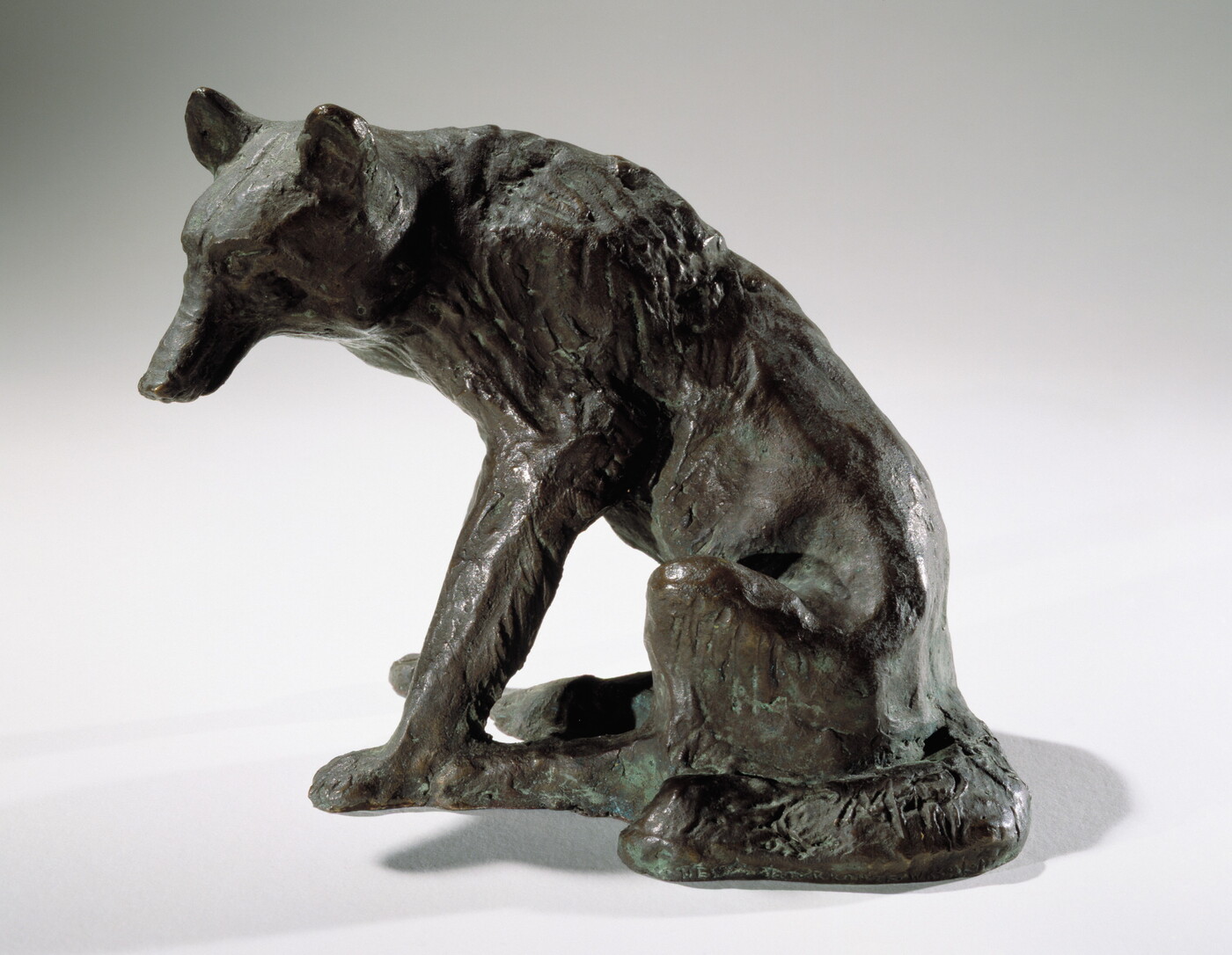 A bronze sculpture of a sitting coyote.