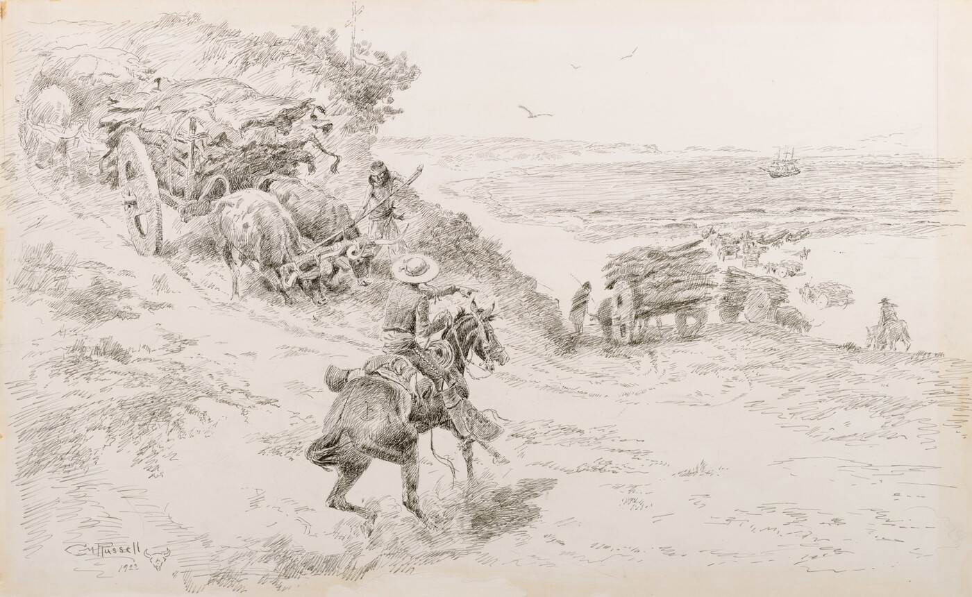A black-and-white drawing of a cowboy directing ox-pulled carts carrying cowhides down a hill.