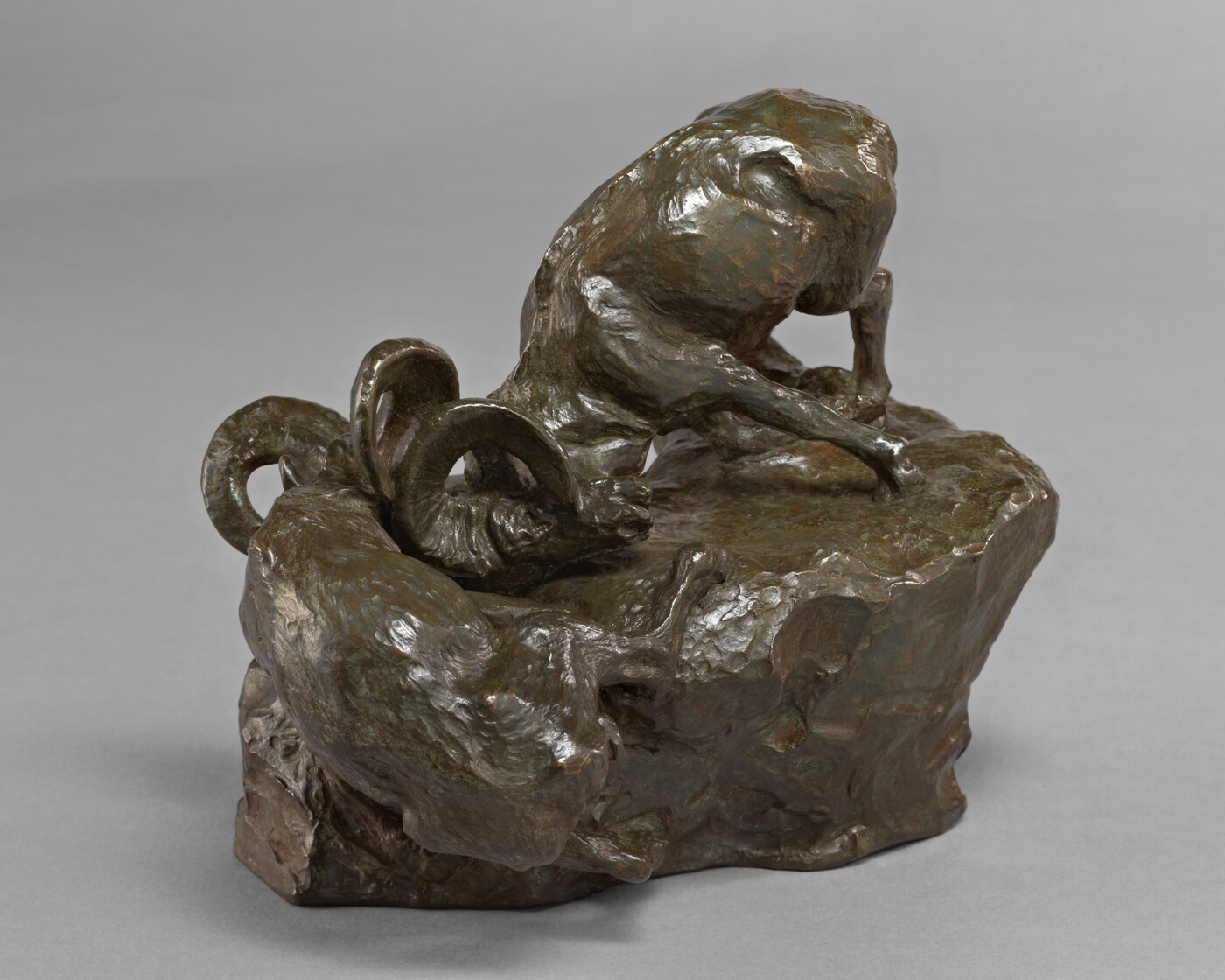 A bronze sculpture of two mountain sheep fighting on the edge of a rock.