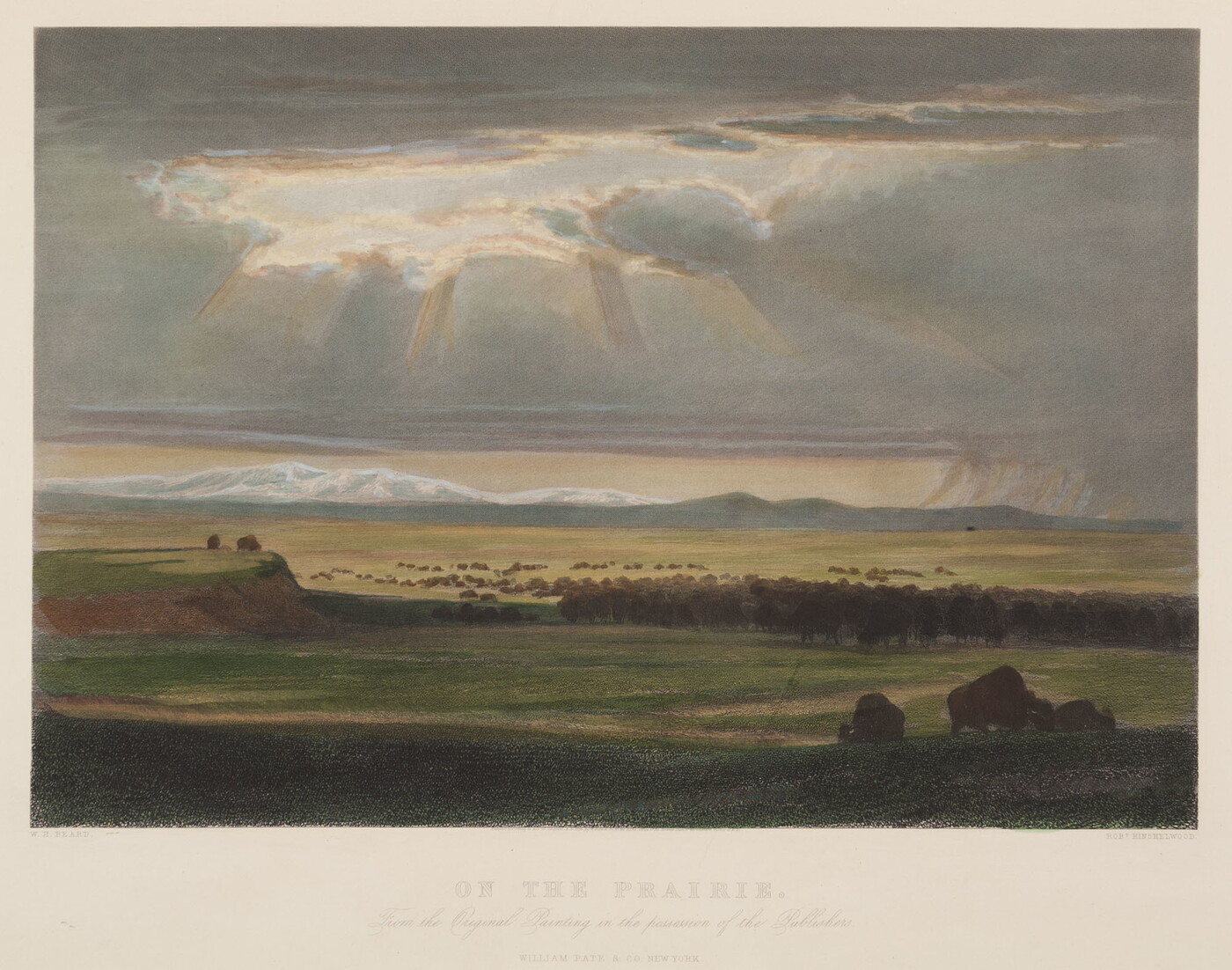 A color print of bison grazing on rolling grasslands with the sun beaming through the clouds.
