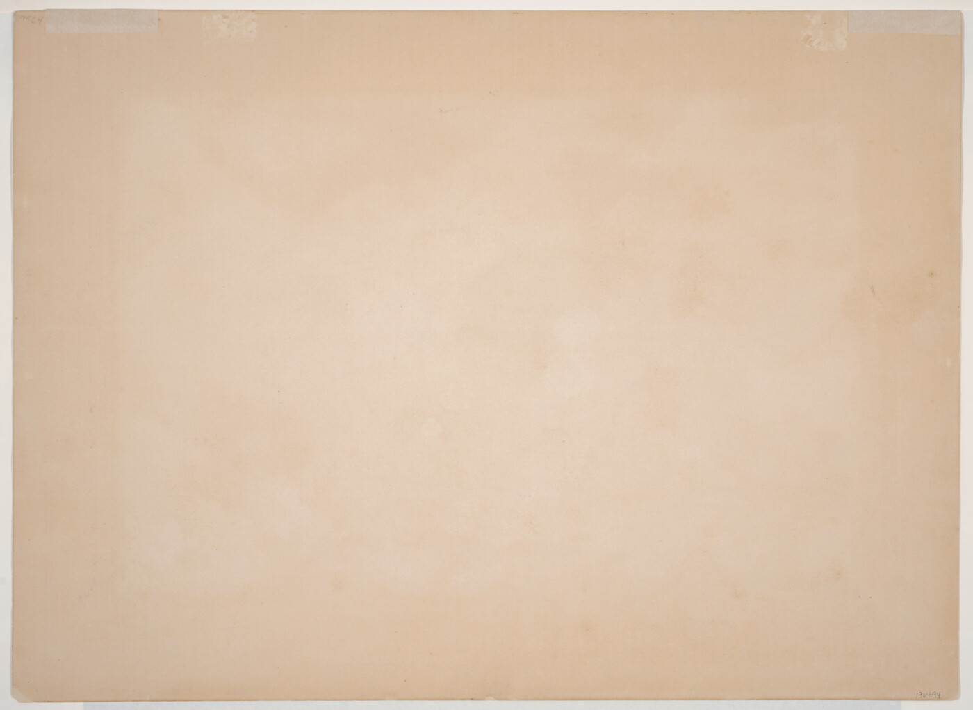 A color print of a single bison standing in a field.