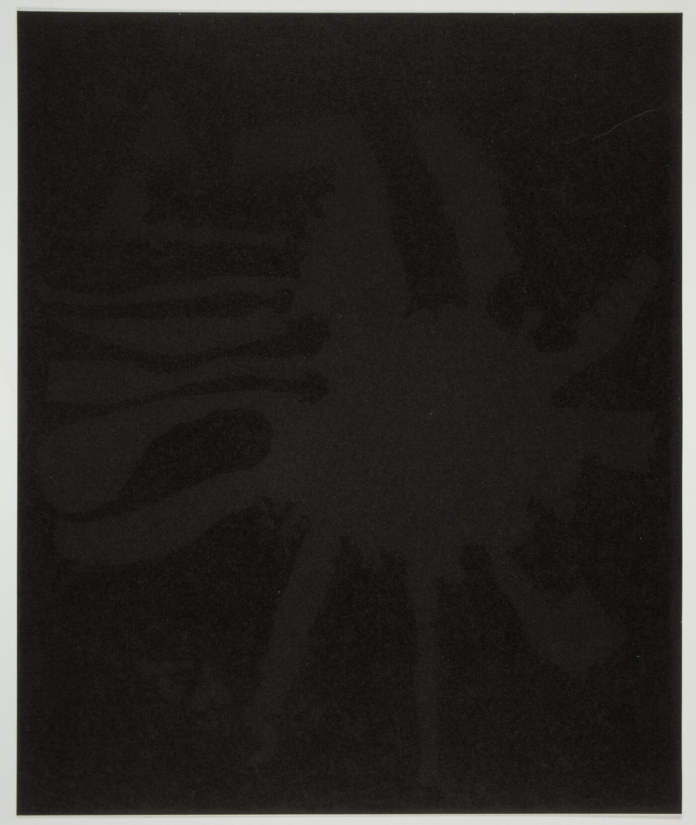 An abstract color print of a very dark brown splatter shape against a black background.
