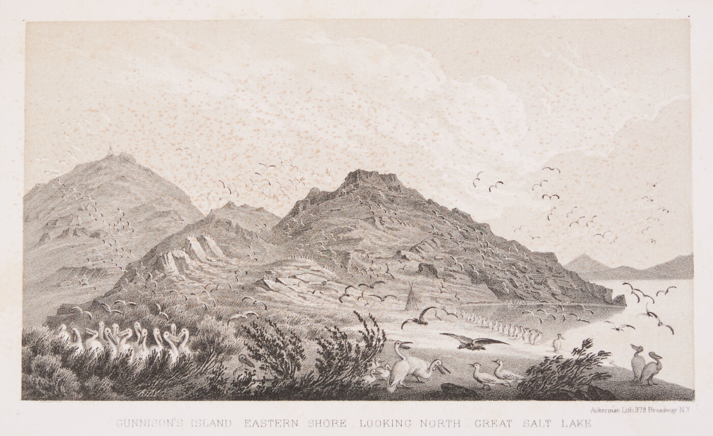 Gunnison's Island Eastern Shore Looking North Great Salt Lake