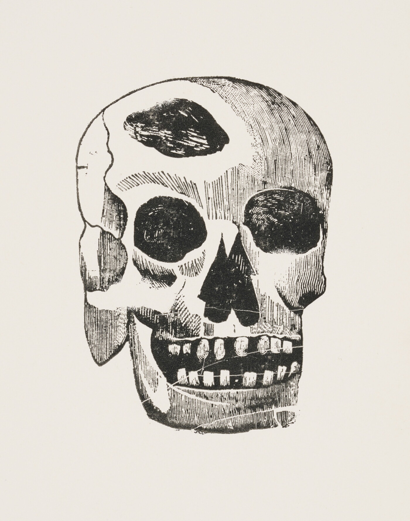 A black-and-white print of an illustration of a human skull showing a piece missing from the top.