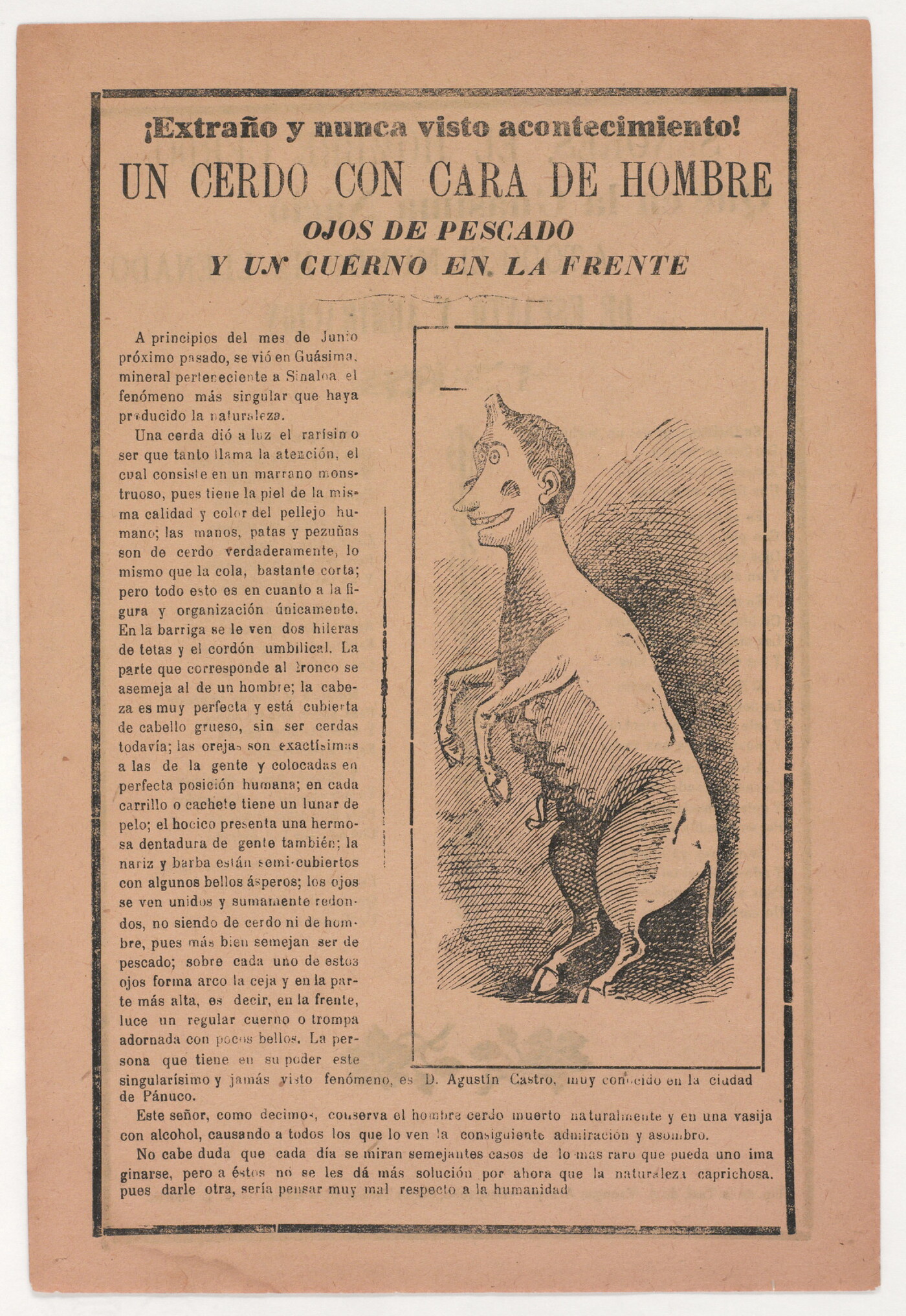 A black-and-white printed leaflet with Spanish text next to an illustration of a hooved creature with a human-like head standing on two legs.
