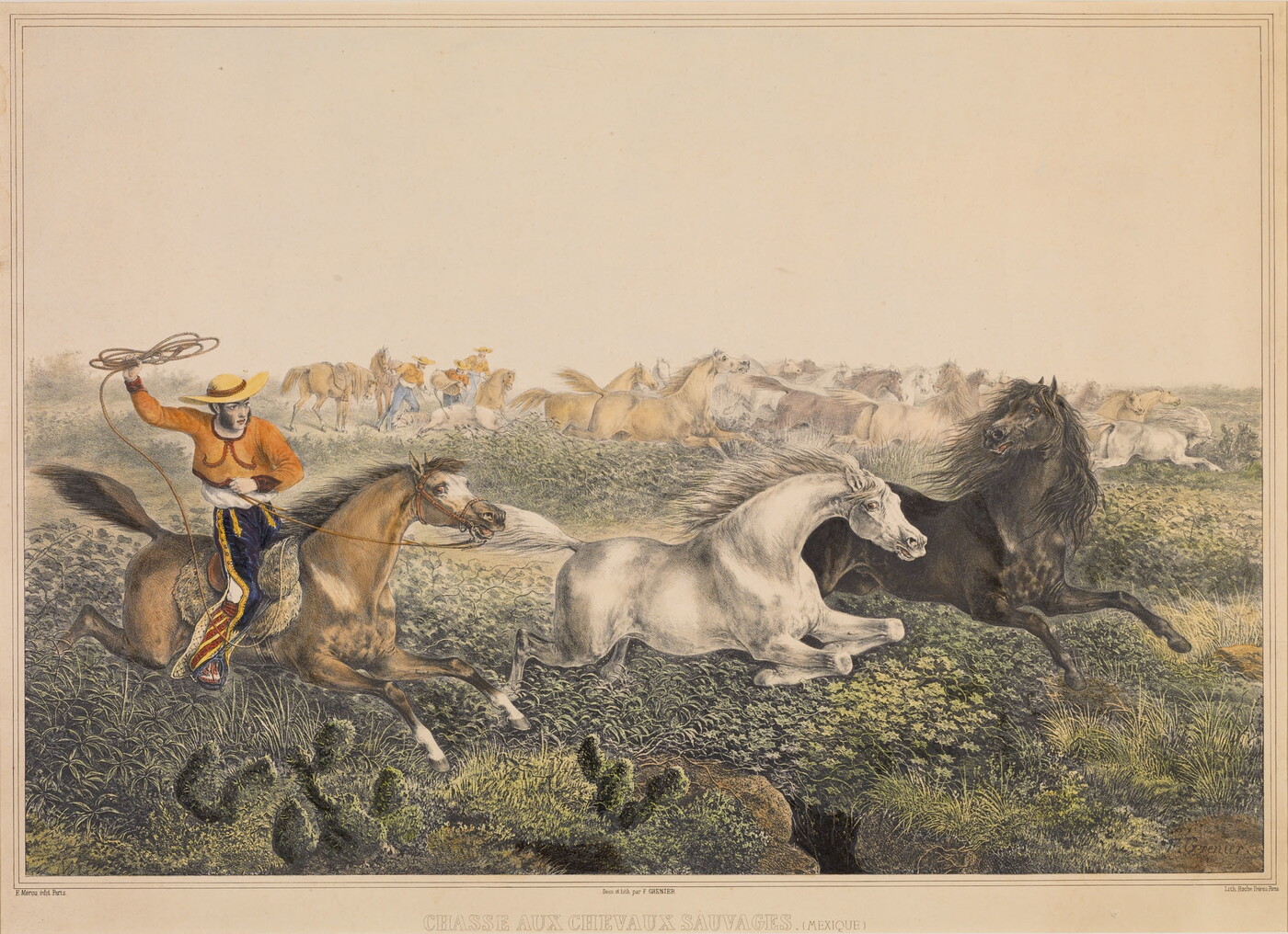 A color print of a man in traditional Mexican clothing on horseback attempting to lasso a horse from a herd of wild horses.
