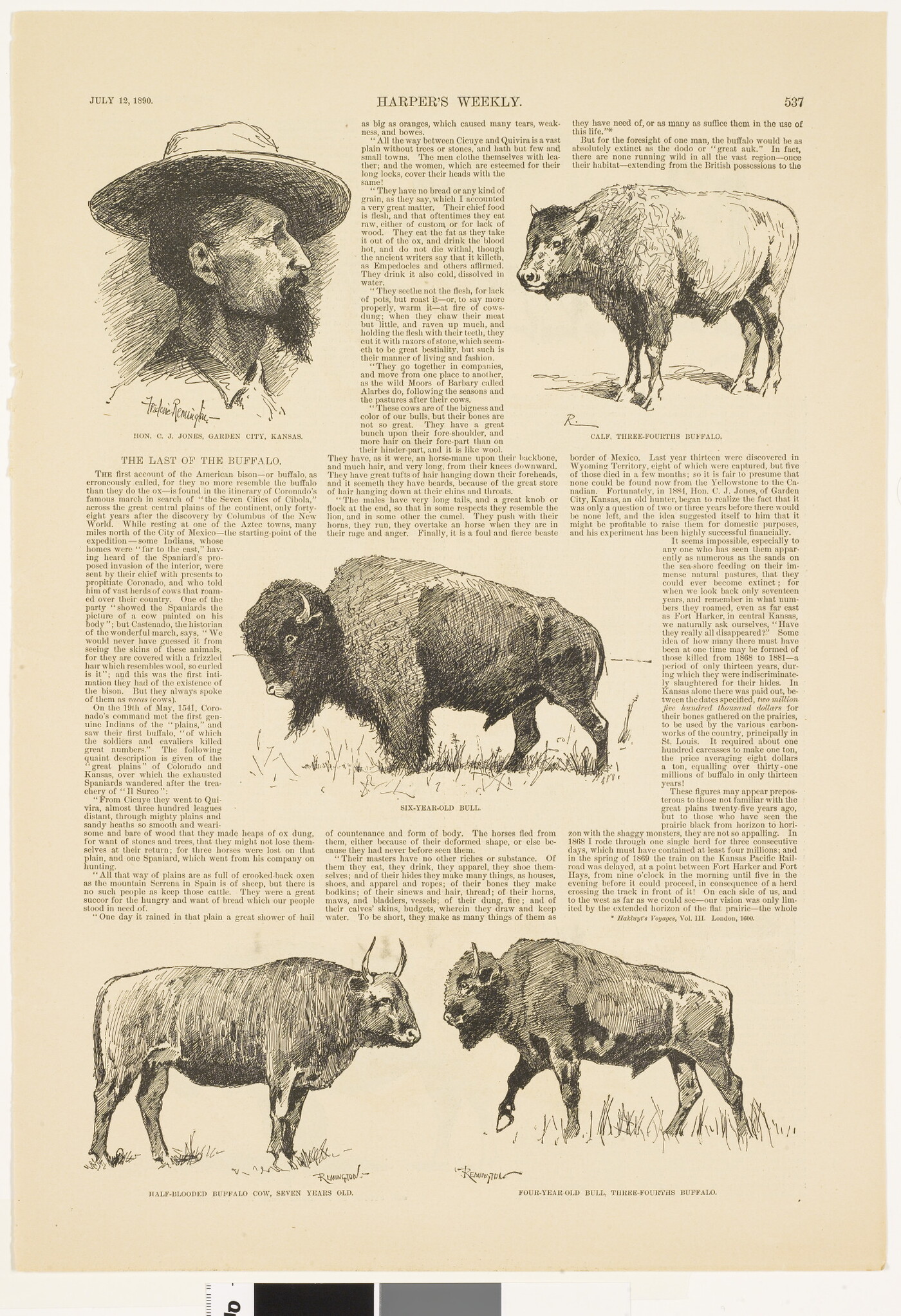 A page from a magazine with text and five illustrations: a bearded man with a wide brimmed hat and four varieties of bison and cattle.