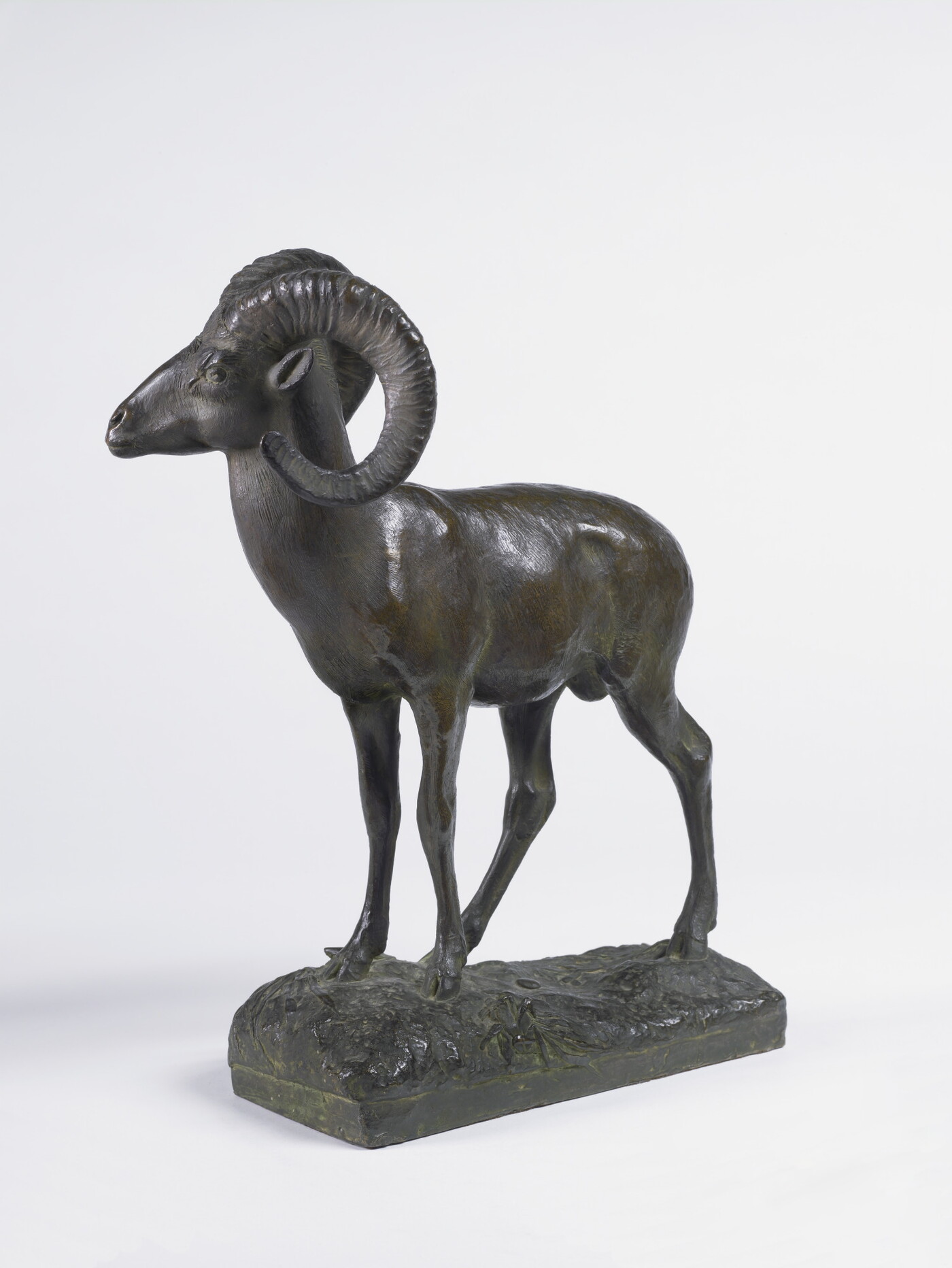 A bronze sculpture of a bighorn sheep.