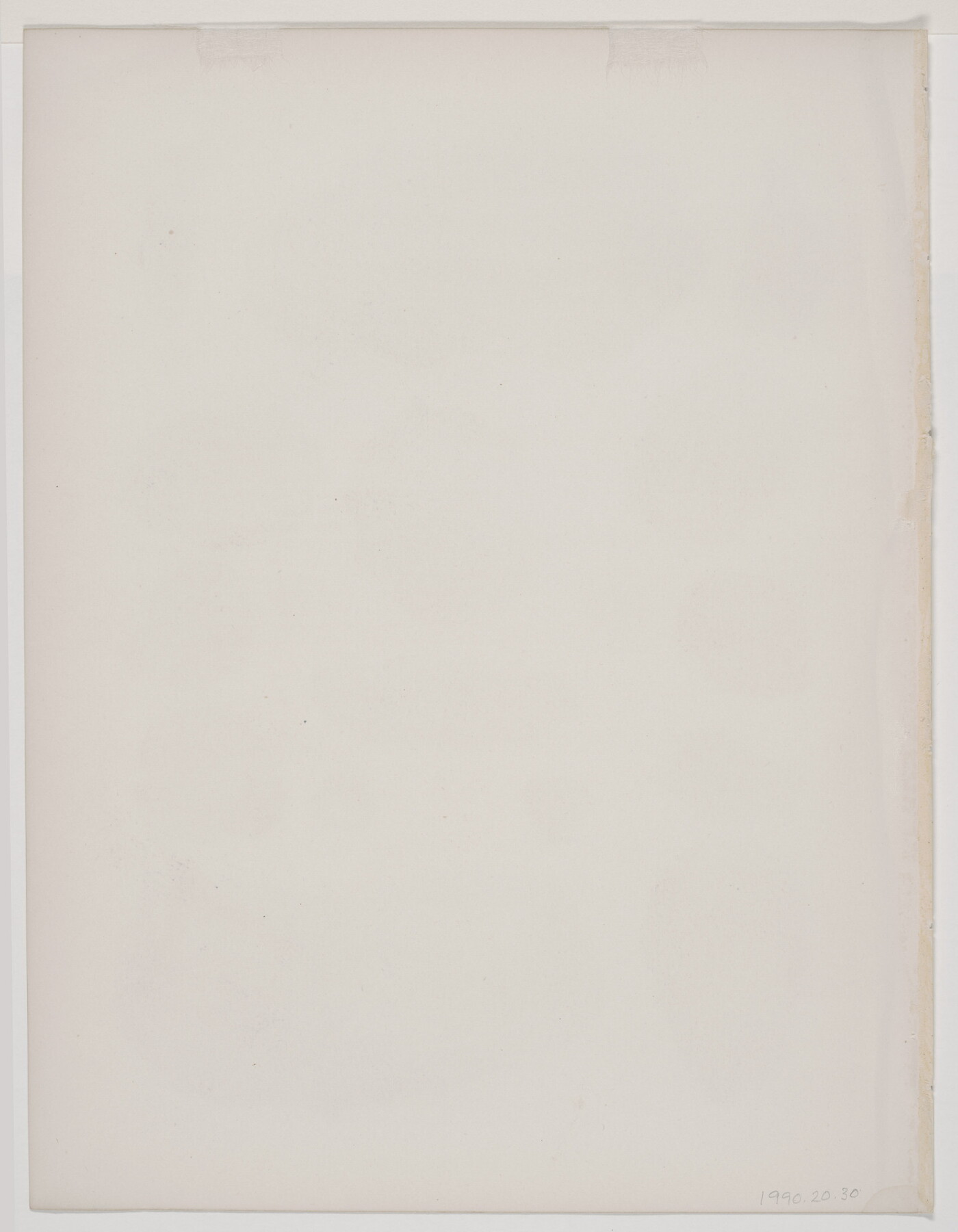 A black-and-white print of various plant fossils shown from different angles.