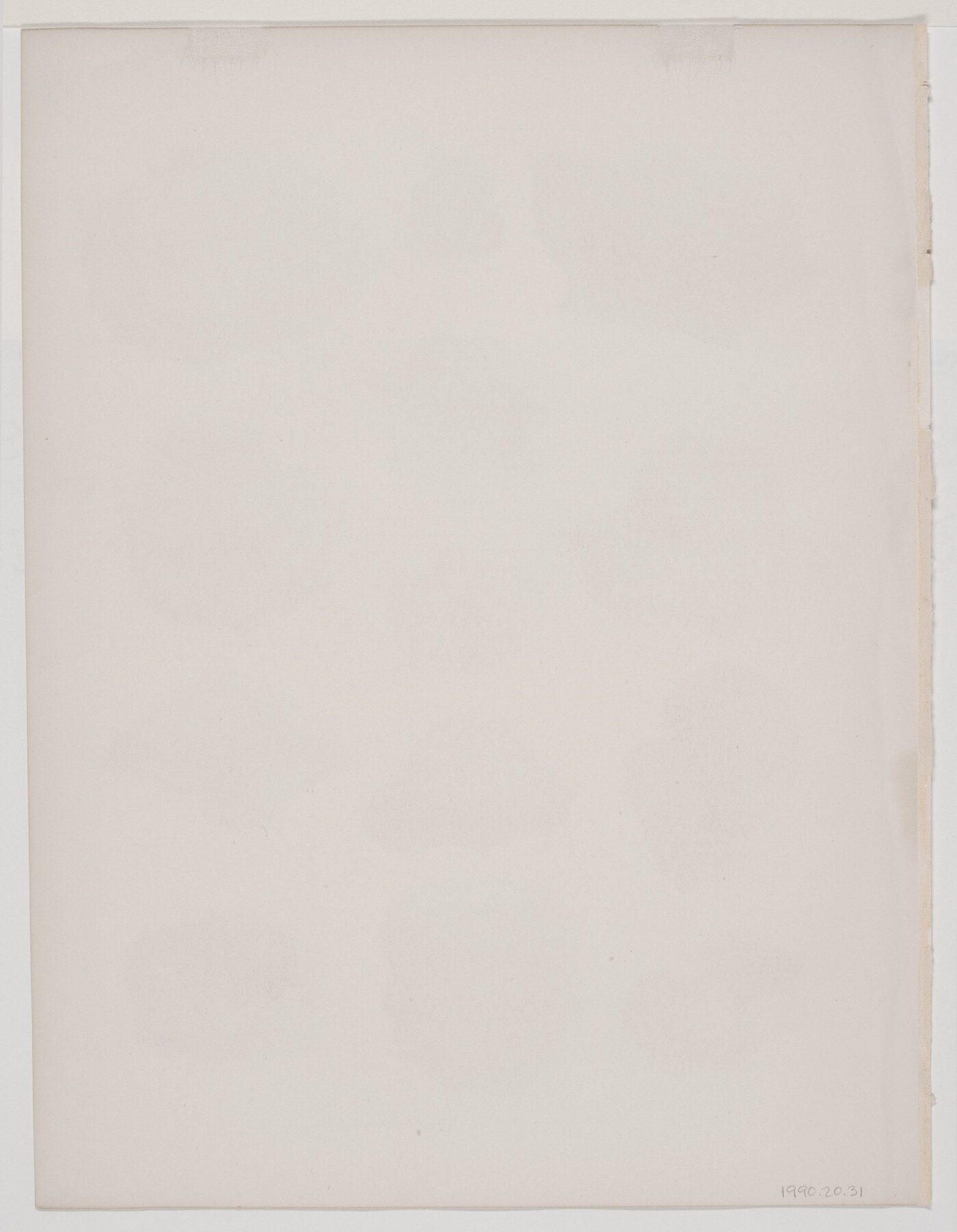 A black-and-white print of various fossils shown from different angles.